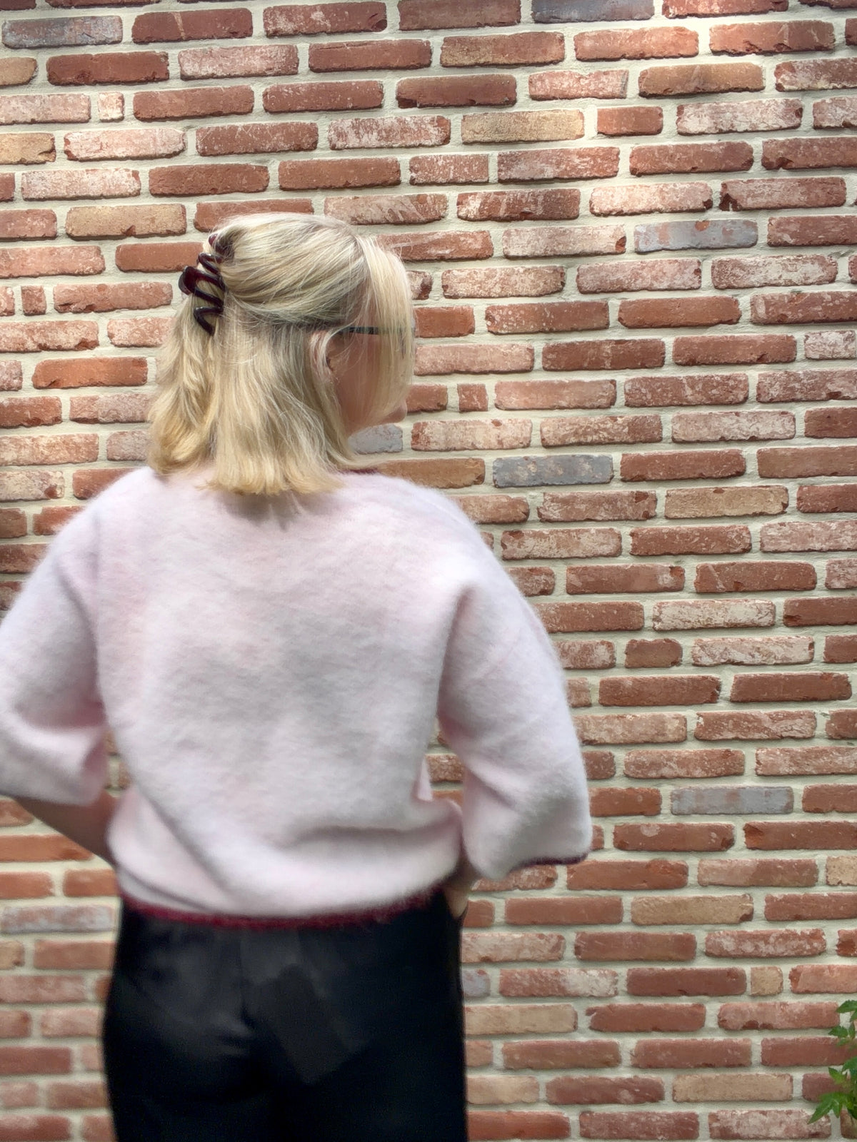 Rosa pull
